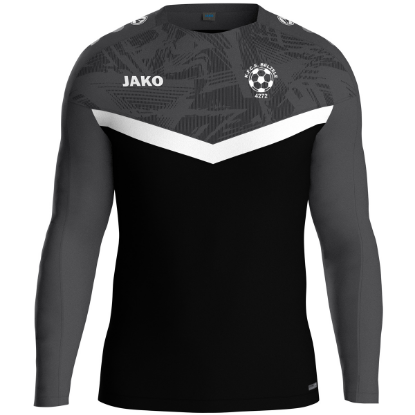 Afbeeldingen van Sweater Iconic